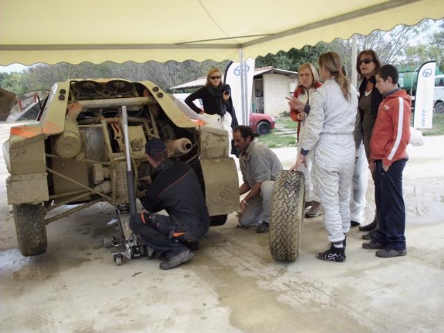 DSCI0041 (Small) DSCI0041 (Small)