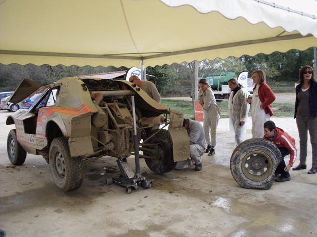 DSCI0044 (Small) DSCI0044 (Small)