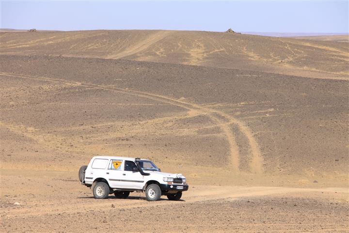 IMG_8276 (Small) IMG_8276 (Small)