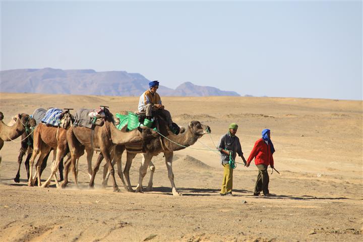 IMG_8328 (Small) IMG_8328 (Small)