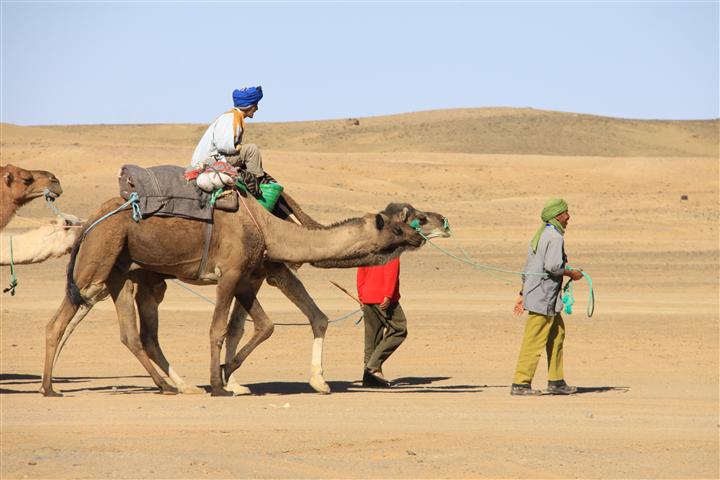 IMG_8330 (Small) IMG_8330 (Small)