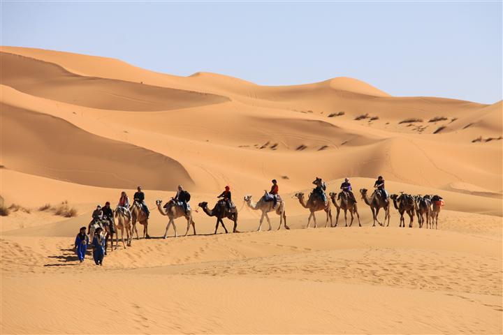 IMG_8385 (Small) IMG_8385 (Small)