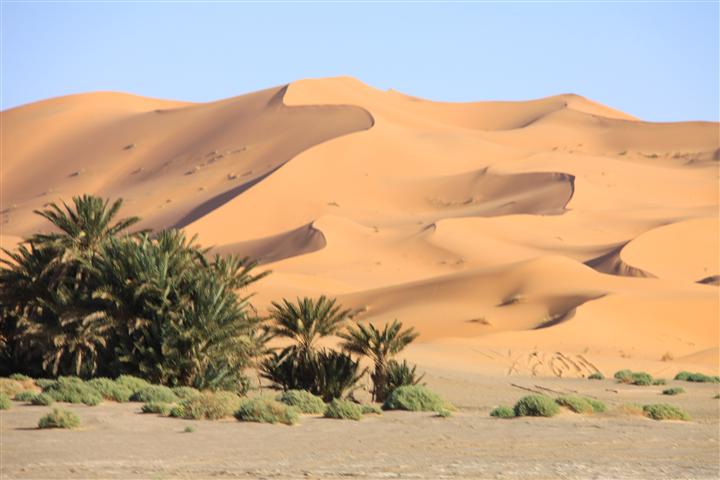 IMG_8566 (Small) IMG_8566 (Small)