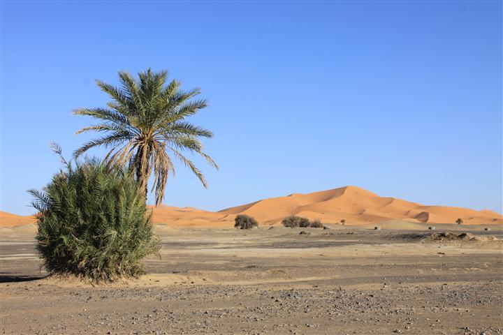 IMG_8576 (Small) IMG_8576 (Small)