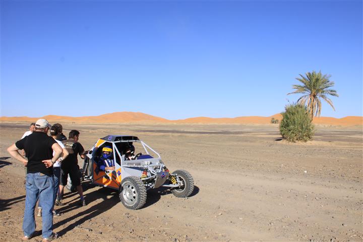 IMG_8579 (Small) IMG_8579 (Small)