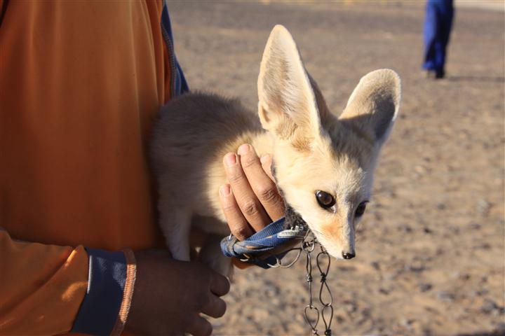 IMG_8589 (Small) IMG_8589 (Small)