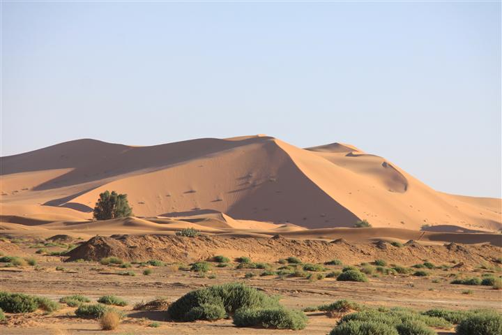 IMG_8614 (Small) IMG_8614 (Small)