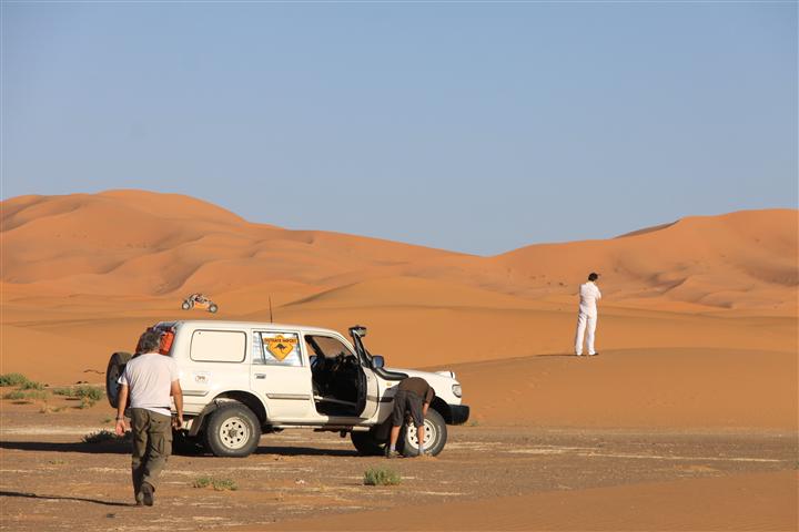 IMG_8645 (Small) IMG_8645 (Small)