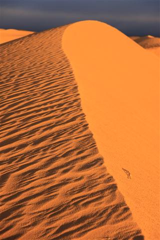 IMG_2371 IMG_2371