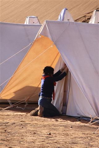 IMG_2517 IMG_2517