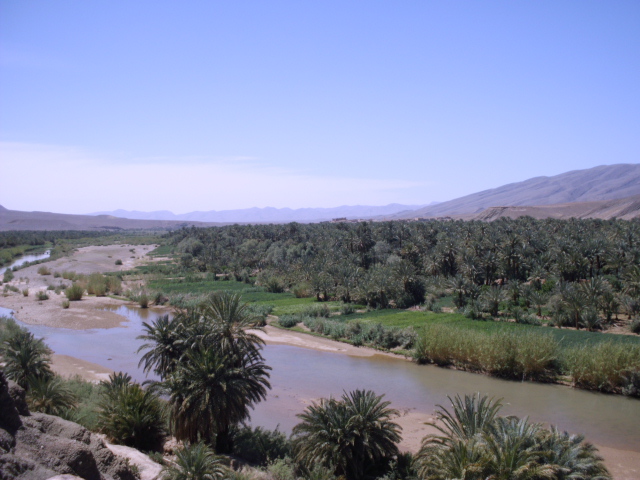 DSCI0041 (1) DSCI0041 (1)