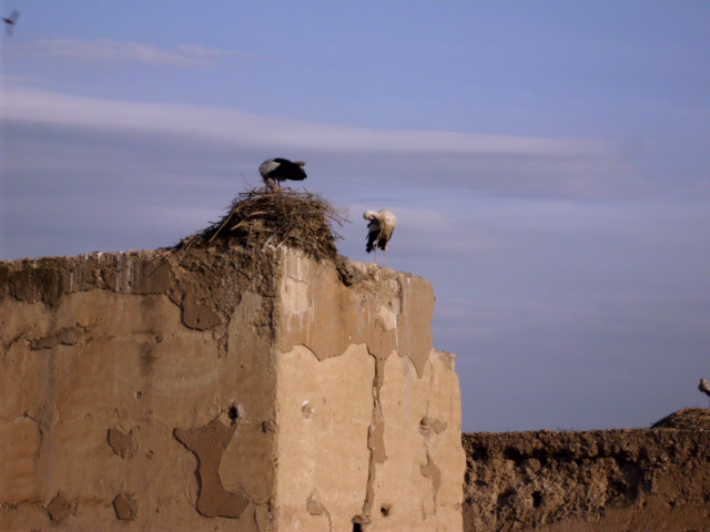 DSCI0286 (1) DSCI0286 (1)