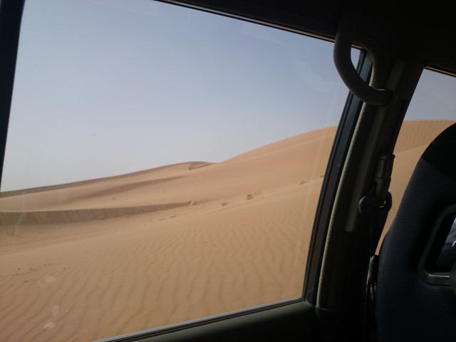 DSC_0041 (Small) DSC_0041 (Small)