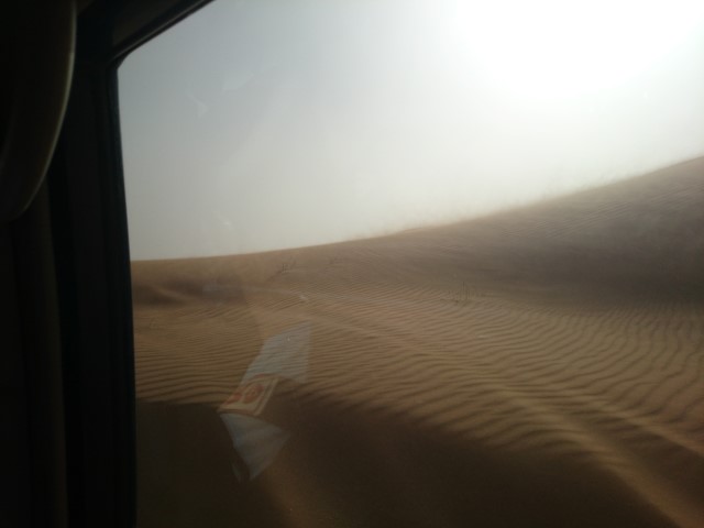 DSC_0048 (Small) DSC_0048 (Small)