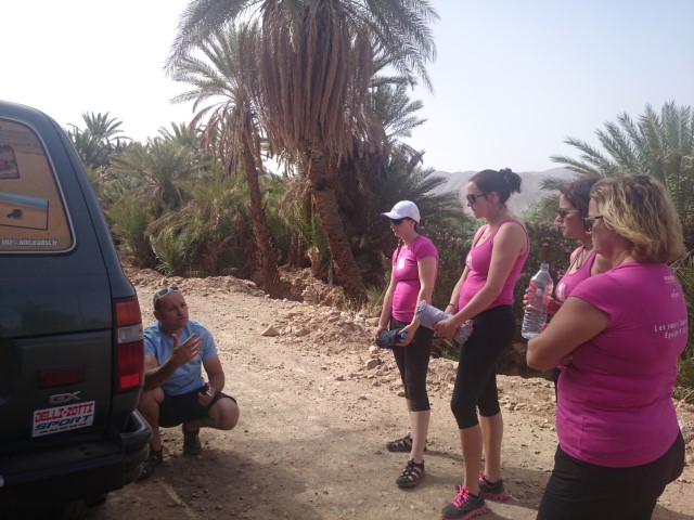 DSC_0153 (Small) DSC_0153 (Small)