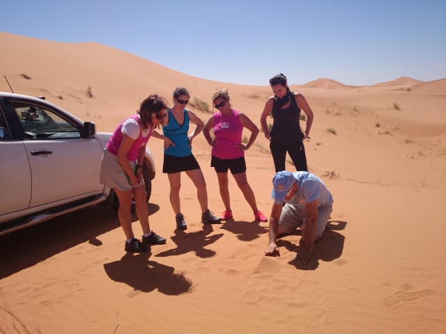 DSC_0239 (Small) DSC_0239 (Small)