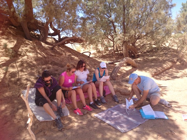 DSC_0250 (Small) DSC_0250 (Small)