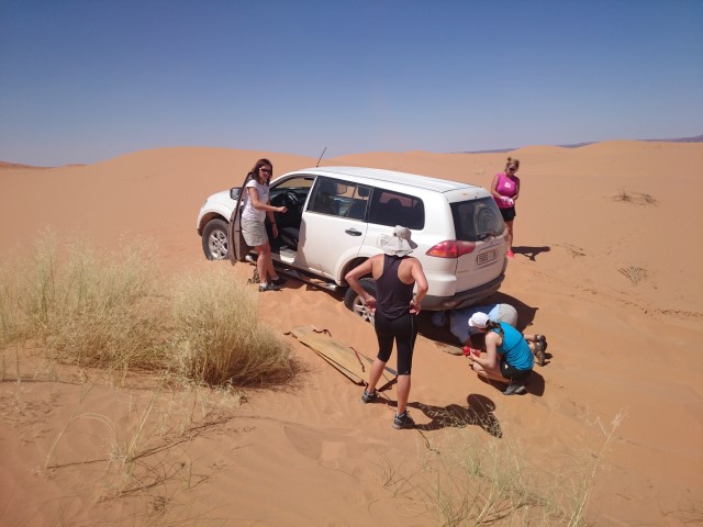 DSC_0251 (Small) DSC_0251 (Small)